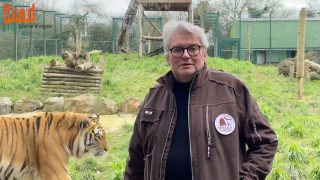 𝗔𝘂𝗷𝗼𝘂𝗿𝗱’𝗵𝘂𝗶, 𝗼𝗻 𝘃𝗮 𝗽𝗮𝗿𝗹𝗲𝗿 𝗱𝗲 🐯 𝗲𝘁 𝗱𝗲 🐒 
Qui se souvient des enclos à rénover ?
En 2021, on vous a parlé d’un super projet environnement : des réparations dans un refuge animalier
✅ Mission accomplie : les travaux sont à présent terminés, bravo à la #SeedFamily ! 💯
#Refuge #environnement #animaux #réparations #nature #protection #soins #France #tigres #singes